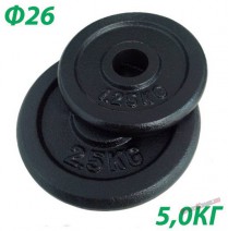 Блин, диск крашенный (черный) (d 26мм) 5 кг - SportKiosk, г. Сургут, пр. Мира 33/1 оф.213